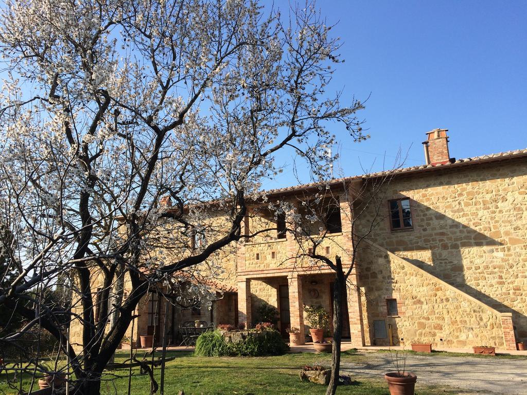 Agriturismo Podere San Gregorio Pienza Kültér fotó