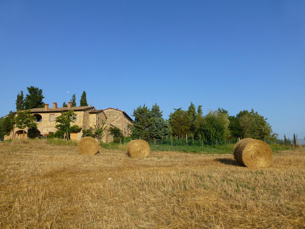 Agriturismo Podere San Gregorio Pienza Kültér fotó
